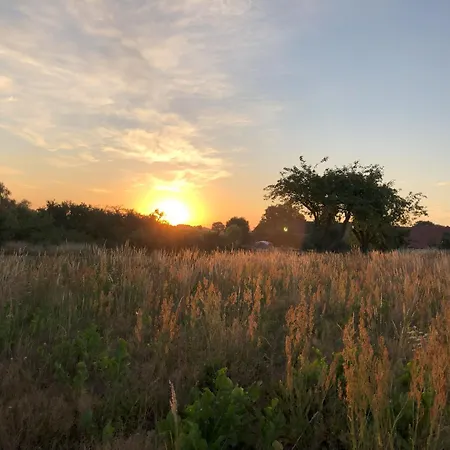 Braunsberger Hoefe - Urlaub Auf Dem Bauernhof Rheinsberg